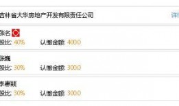 最新圈内爆料大华地产,揭秘最新圈内爆料背后的真相与未来走向